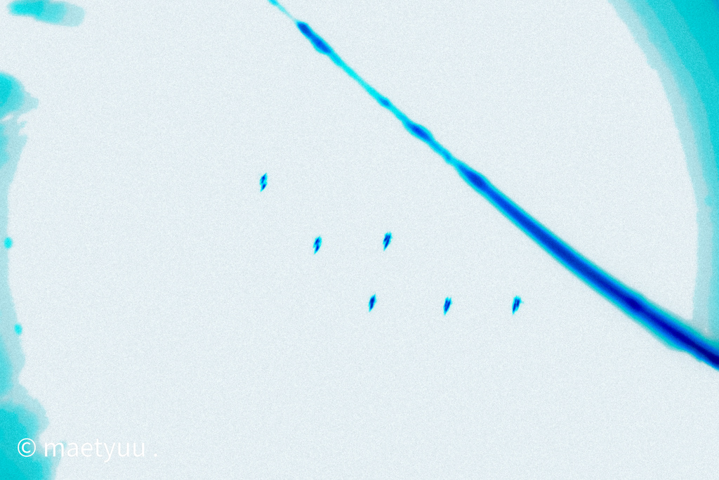 ブルーインパルス