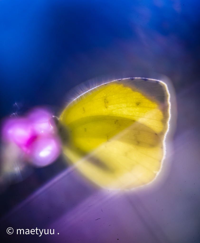 Glassworks