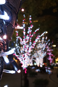 有楽町イルミネーション