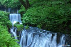 白糸の滝 単焦点