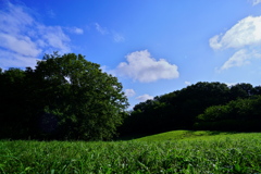 久しぶりの青空なので 