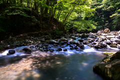 初夏の塩原渓谷Ⅲ