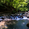 初夏の塩原渓谷Ⅱ