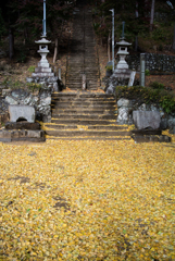 境内