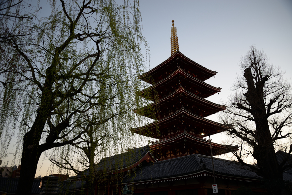 夕暮れの浅草寺