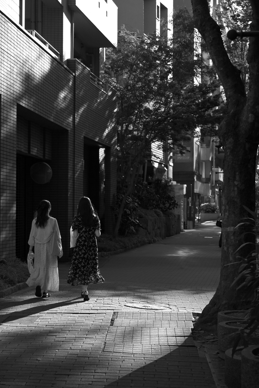 夕陽を浴びながら