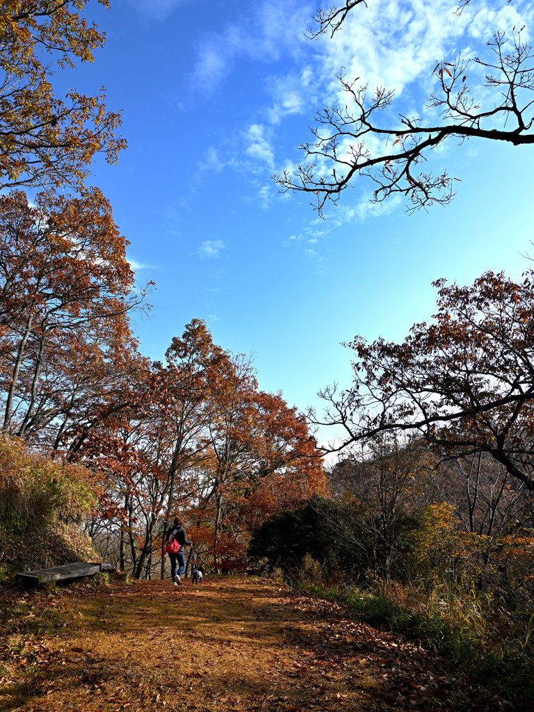 ワンちゃんと一緒