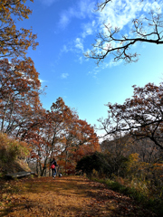 ワンちゃんと一緒