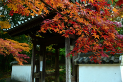 天祐寺11