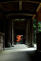 天祐寺９