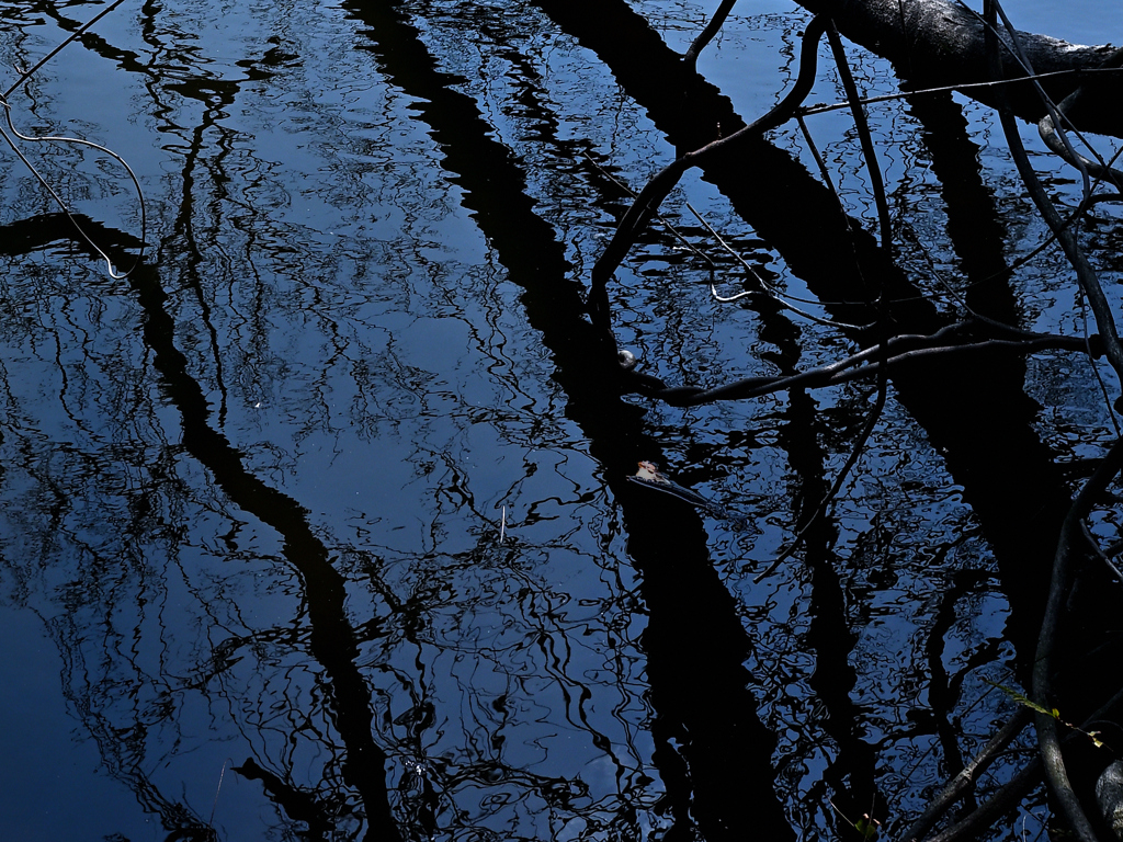 水面模様２
