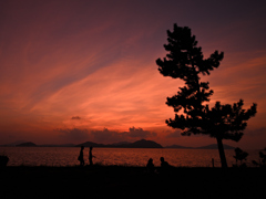 夕暮れの風景２