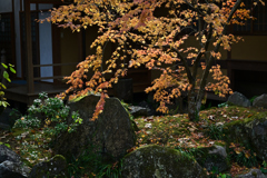 天祐寺紅葉3