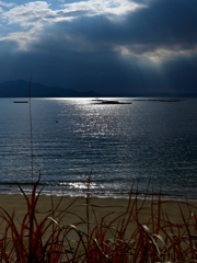 日差しを受けて