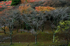 静寂