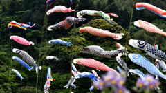 ジャガイモの花も喜んでいる