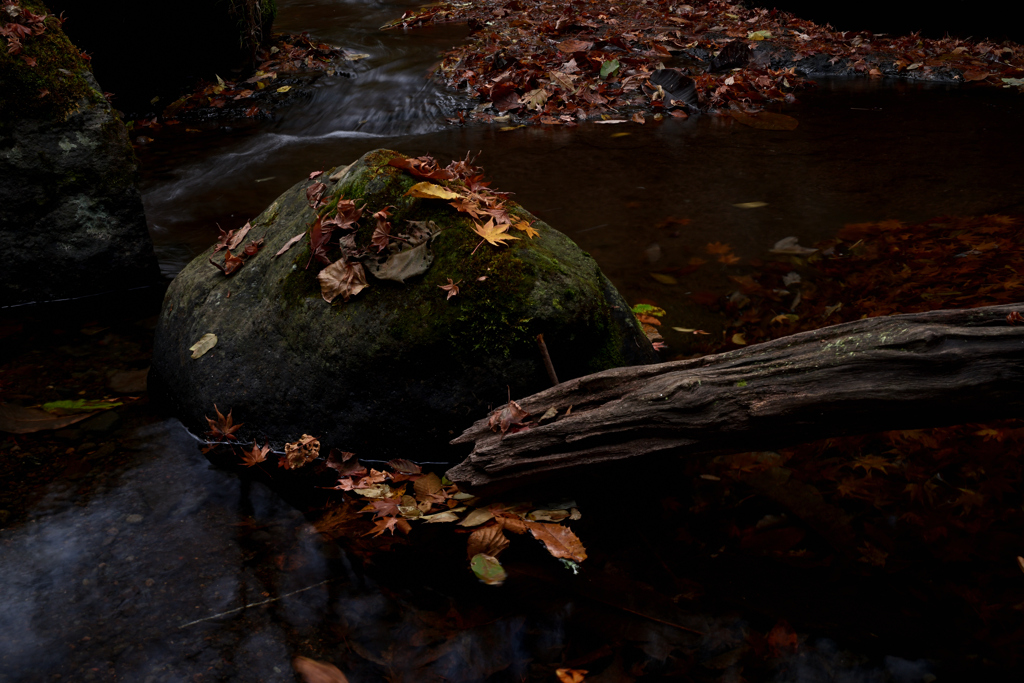 マゼノ渓谷落葉２