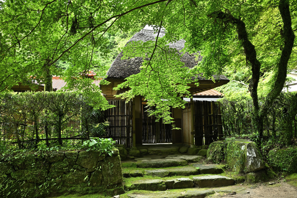緑の九年庵