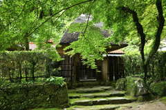 緑の九年庵
