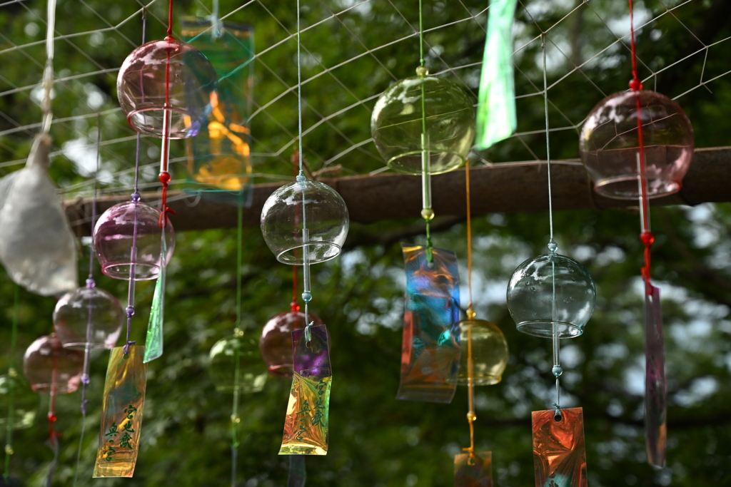 猛暑に涼しさを