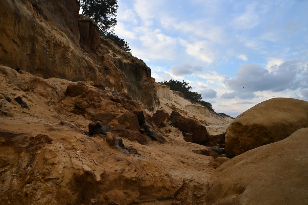 福岡　奈多砂層