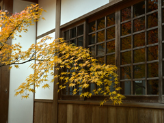 天祐寺紅葉