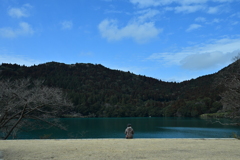 おしどりの池に一人