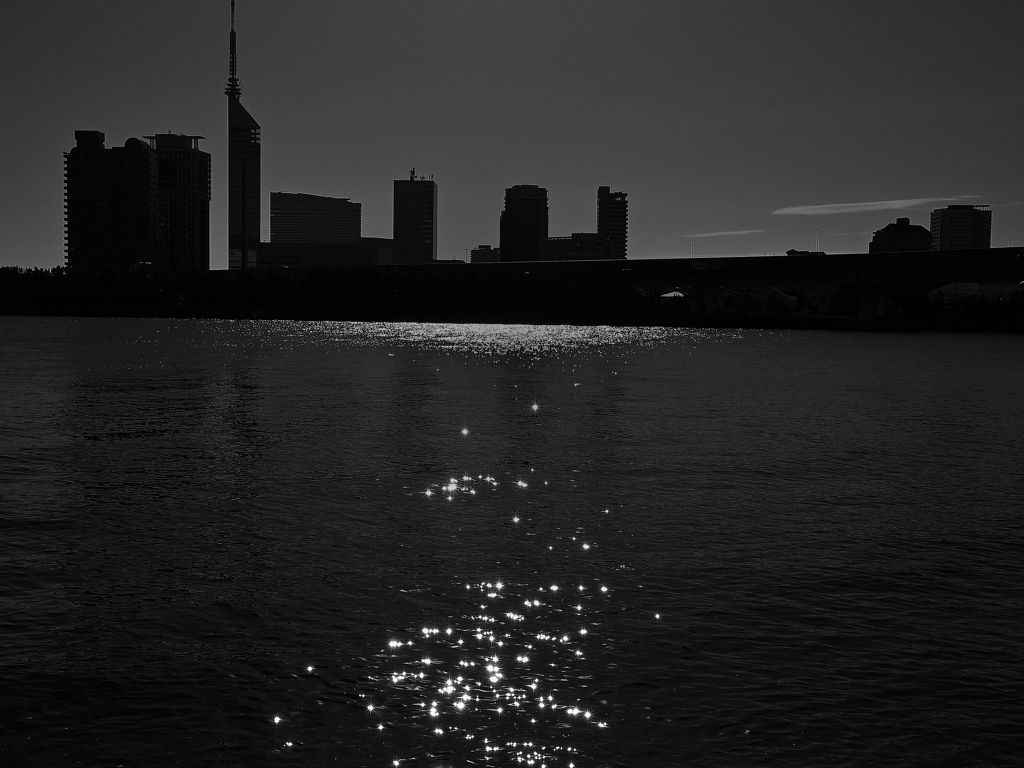 朝の光