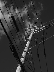 電柱に・・・
