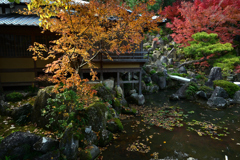 天祐寺紅葉２