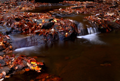 晩秋のせせらぎ