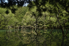 雷山不動池