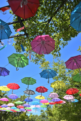 傘を使いたい天気が来てほしい！