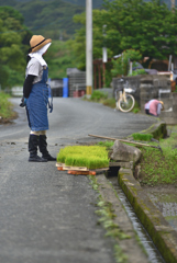 見守る奥様