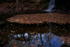 渓谷の秋