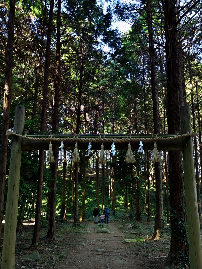 手をつないで初詣