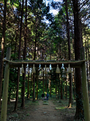 手をつないで初詣