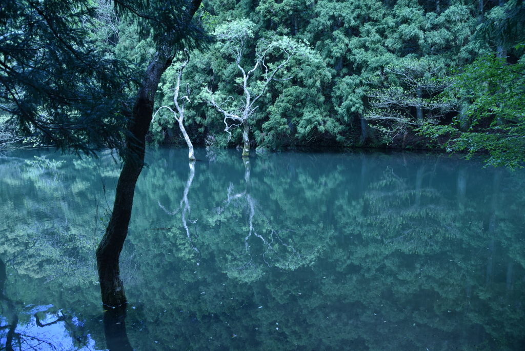 雷山不動池