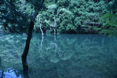 雷山不動池