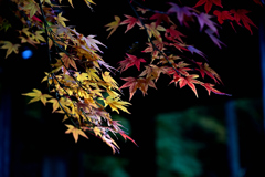 天祐寺12
