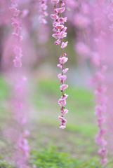 春の予感