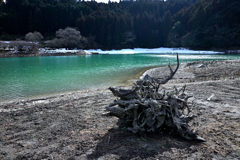 ダム底の風景