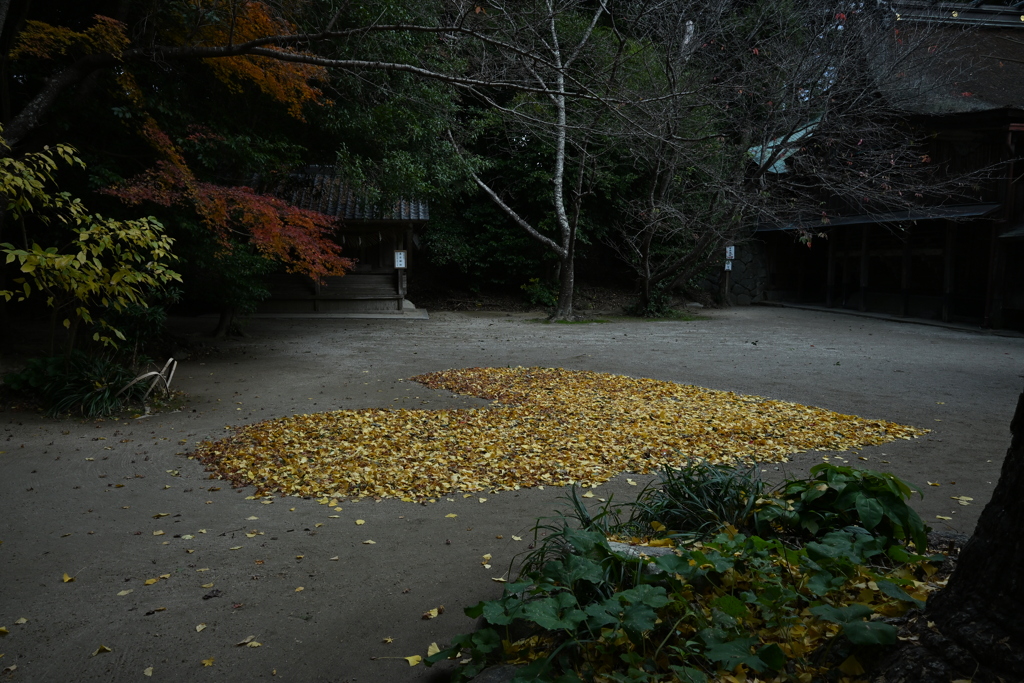 落ち葉の芸術
