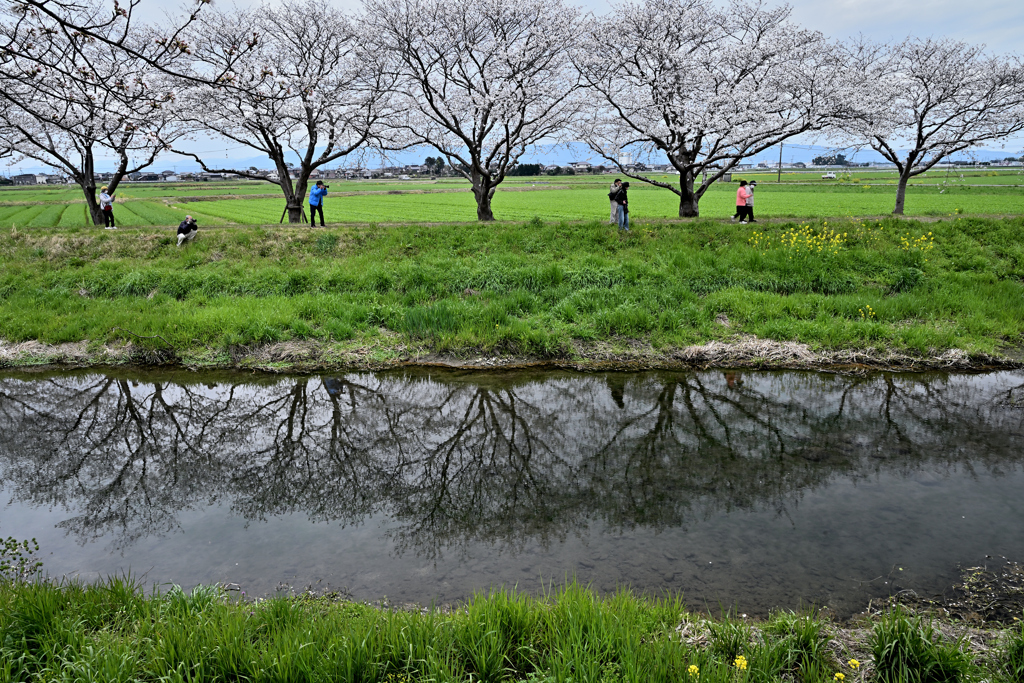 草場川