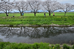 草場川