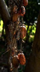 春の日差しを浴びて２