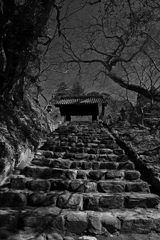 シーズンオフの秋月