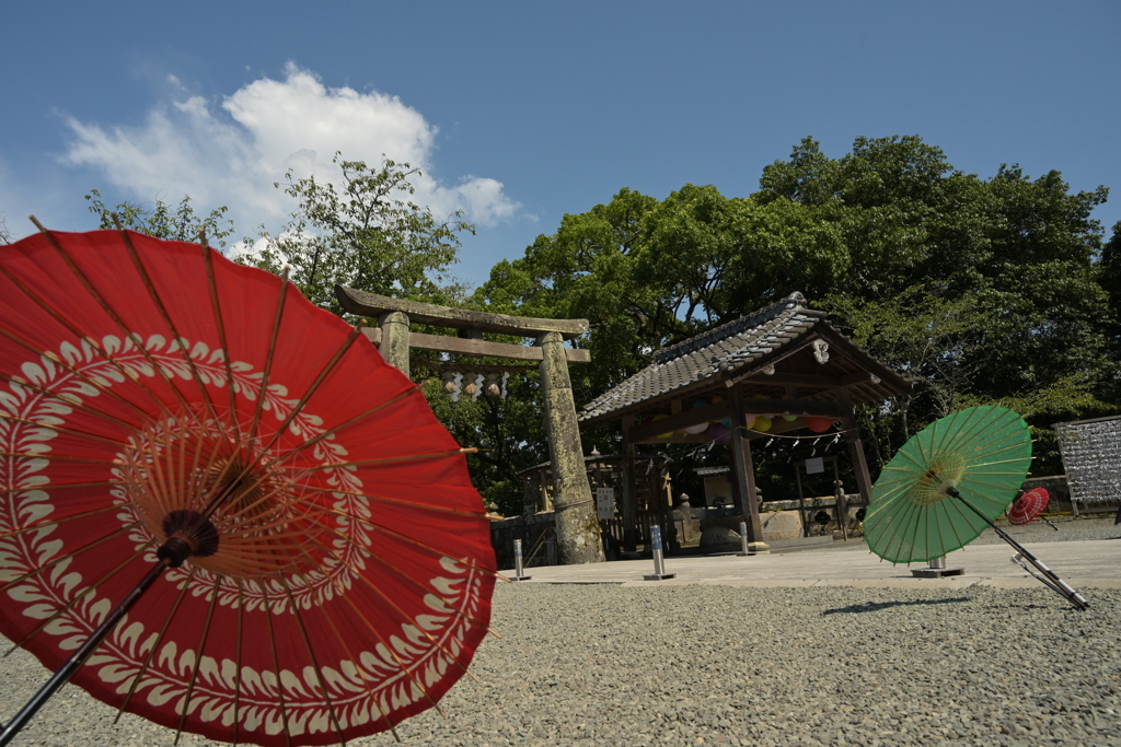 武雄神社　催し２