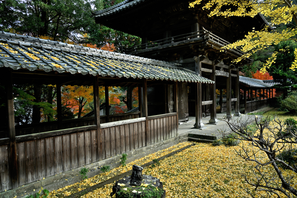 天祐寺10