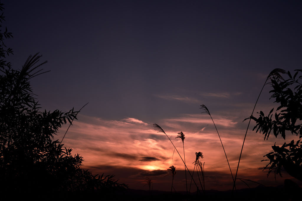 夕暮れ